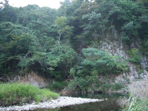 田和瀬の滝